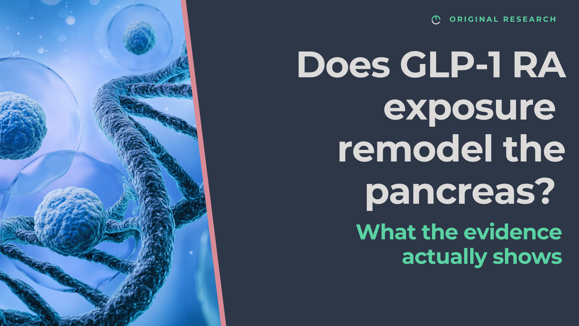 Does chronic GLP-1 receptor agonist exposure remodel the pancreas? What the evidence actually shows